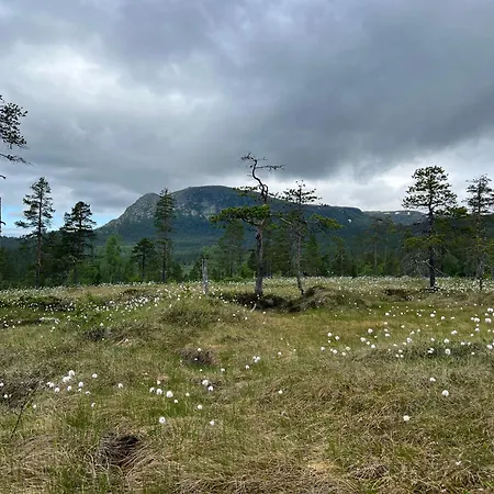 Sveheim - With An Amazing View * Flå