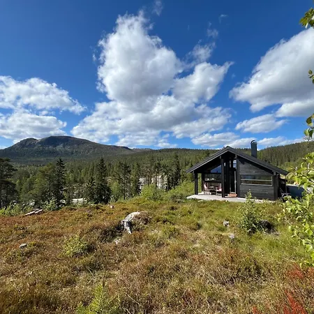 Sveheim - With An Amazing View Flå