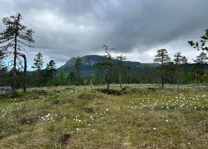 Sveheim - With An Amazing View * Flå