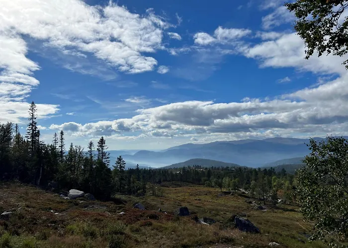 Sveheim - With An Amazing View Flå