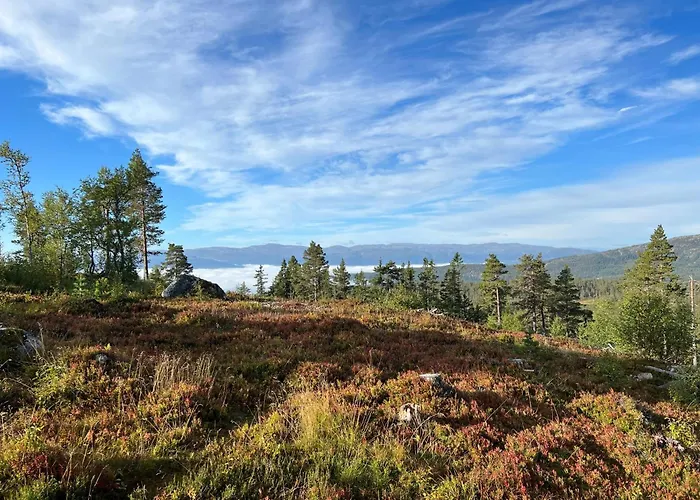 Sveheim - With An Amazing View *